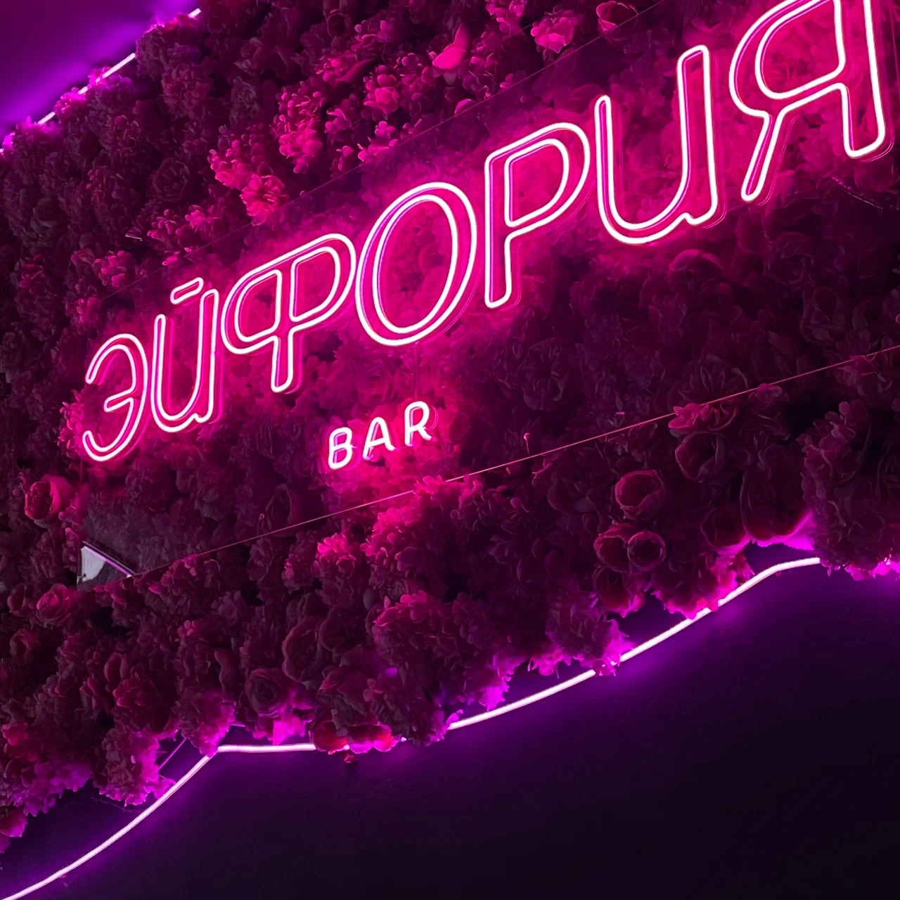 Фото Эйфория